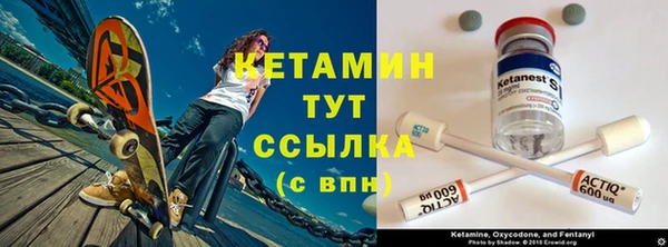 стаф Алексин