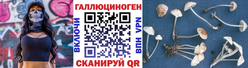 mega сайт  Саров  Псилоцибиновые грибы Magic Shrooms  где продают  