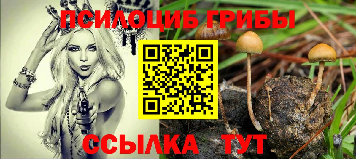 Саров  Галлюциногенные грибы Magic Shrooms  Вход с VPN 